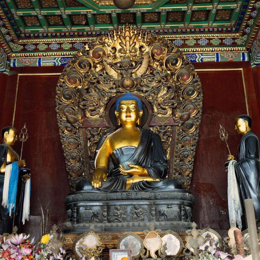 佛教的基本共识