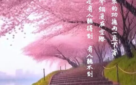 自力道德與他力宗教