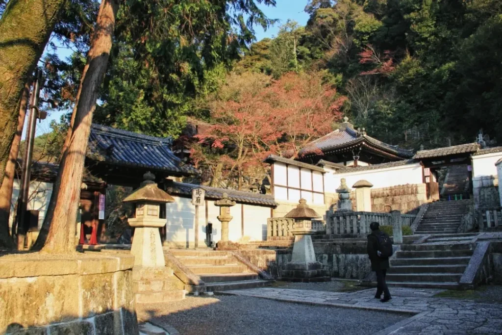 如來全生命的給與