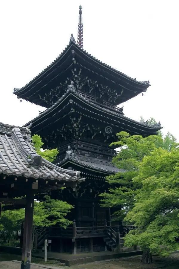 《歸三寶偈》講義