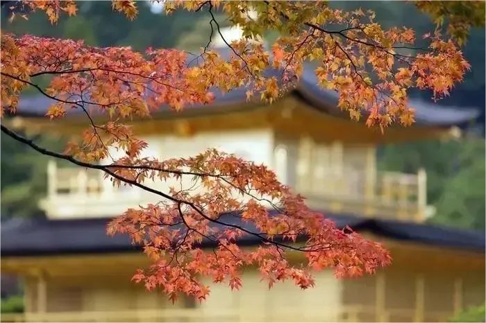 佛法入身