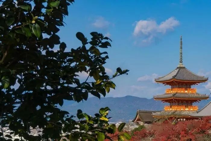 「連這樣的我都要救」